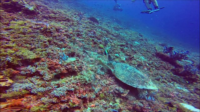 Gili Islands Lombok - NTB