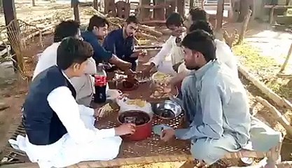 university of sargodha