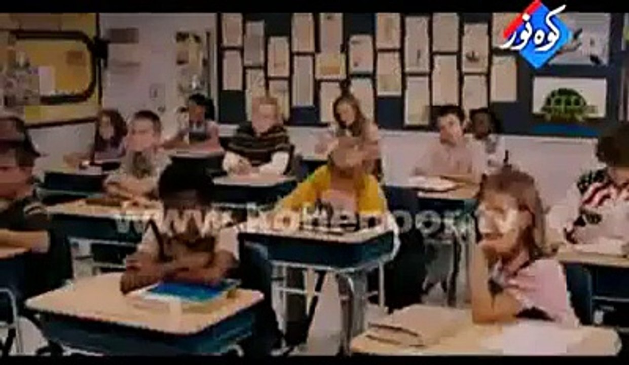 punjabi toota