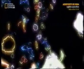 Fisica cuantica: La energia oscura y el multiverso