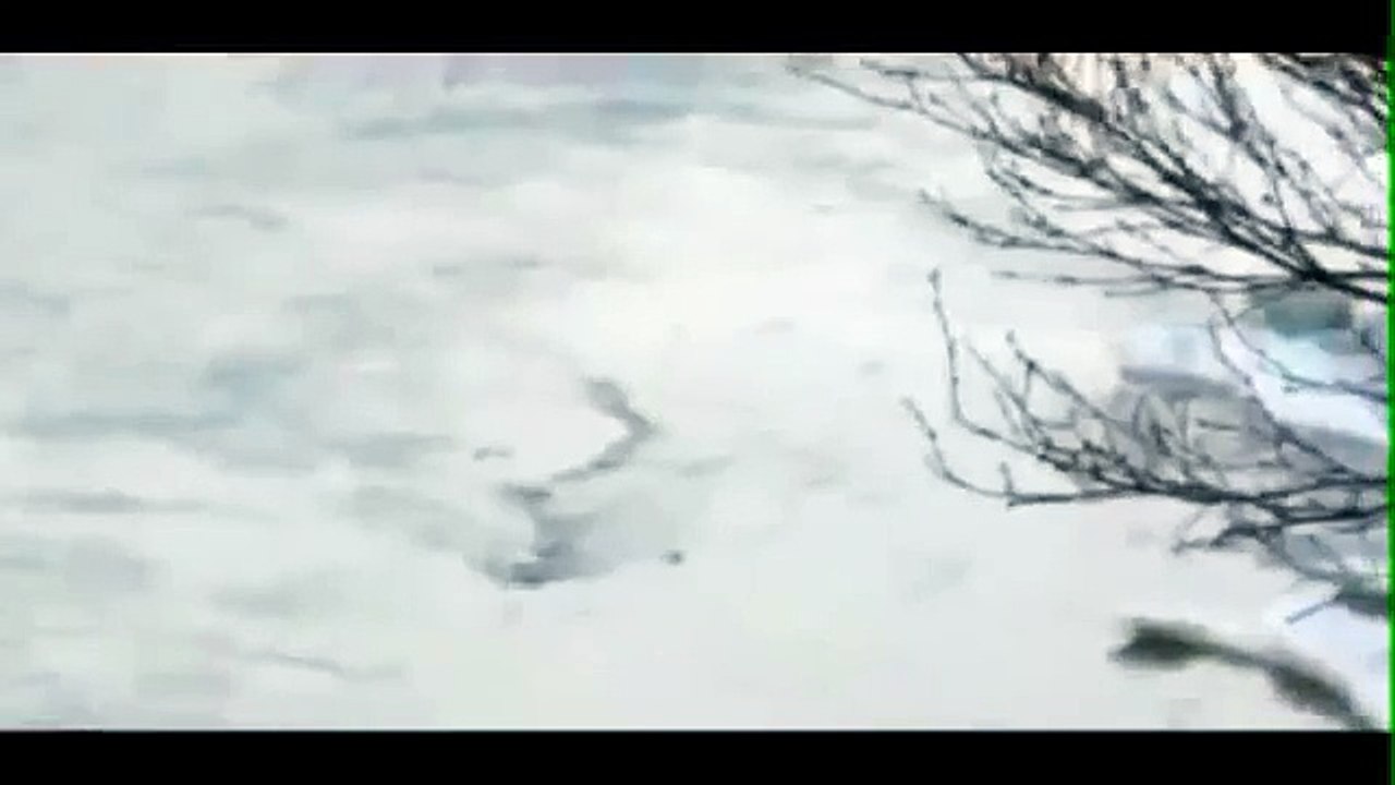 Big snake through the river