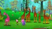 Finger Family Giraffe- 3D Animation - English Nursery Rhymes - Nursery Rhymes - Kids Rhymes - for children with Lyrics