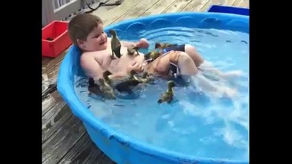 Ce petit garçon jouant avec des canards pourrait bien être le plus heureux enfant du monde