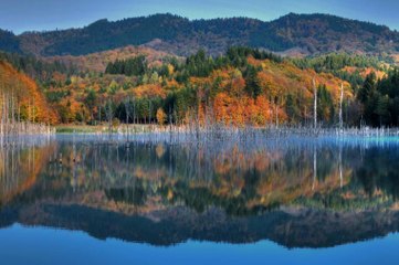 Visit Romania-Cuejdel Lake
