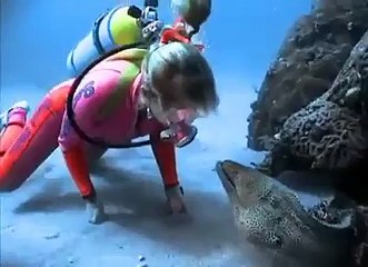 Scientist makes friends with a moray eel