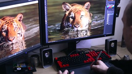 Digital Painting - a Short Documentary