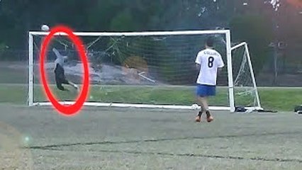 TOP 5 - Best Goalkeeper Saves I WEEK #64 2015