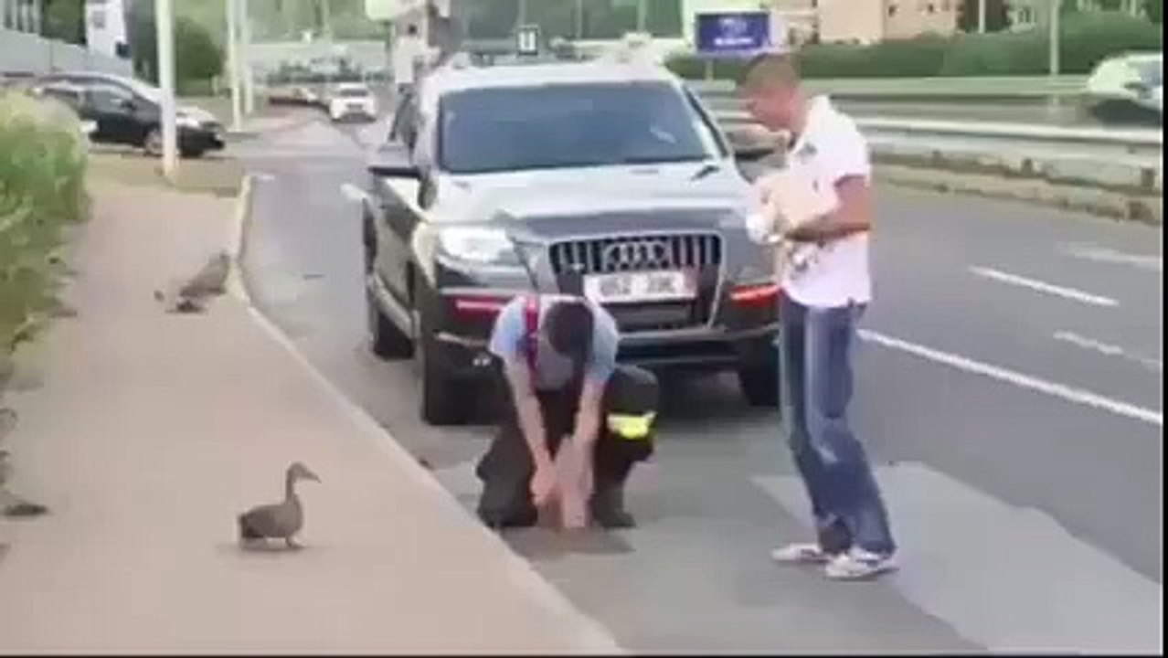 انسان یہ هیں قانون یہ هے سمجه سکو تو سمجه ایک بار ضرور دیکھیں
