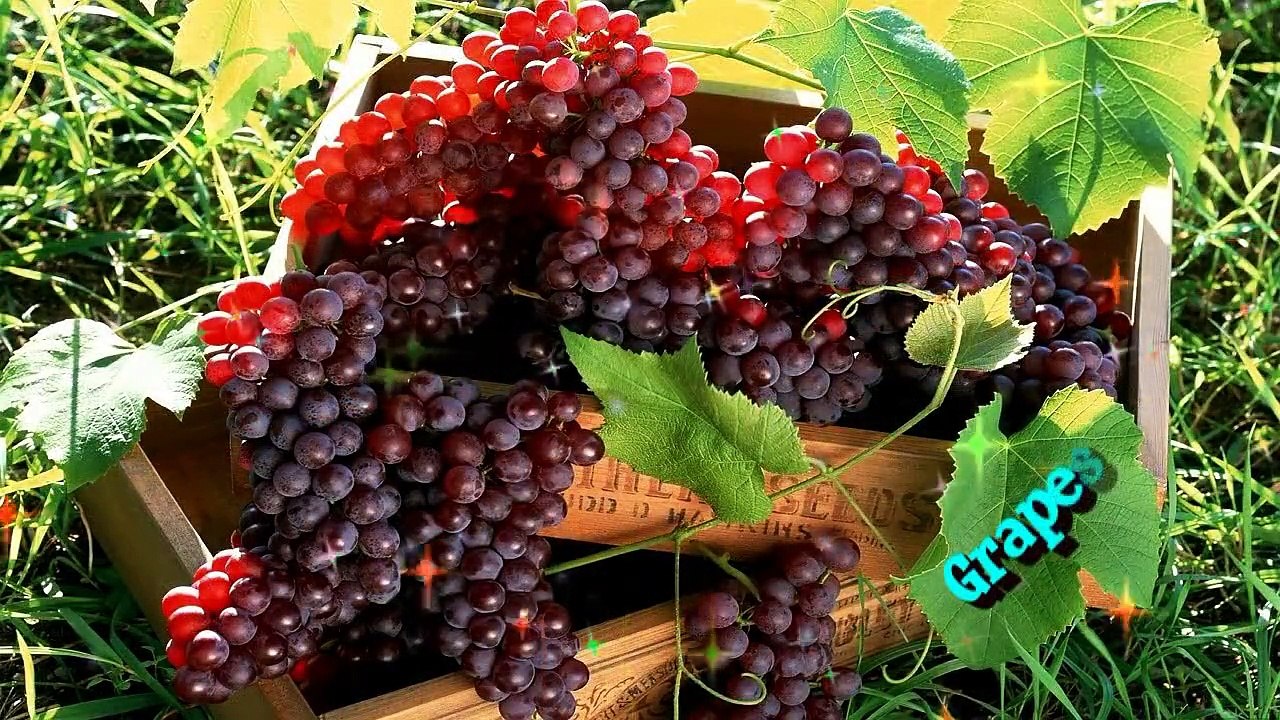 Surah Rehman With Urdu Translation Full - Qari Abdul Basit