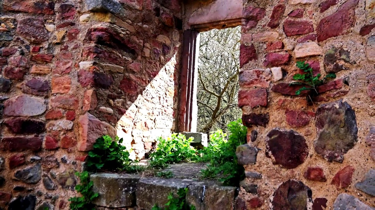 Klosterruine  Kartause (Bilder einer Landschaft)