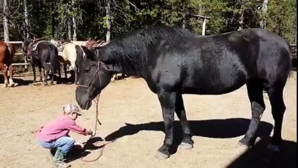 Ata İşte Böyle Binilir..