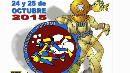 Más de 1000 voluntarios en la Gran Limpieza de Fondos Marinos