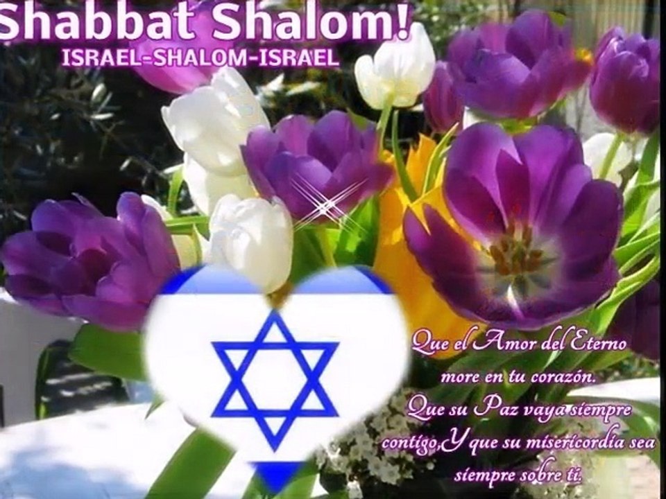 shavuatov.
