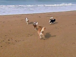 A la plage octobre 15