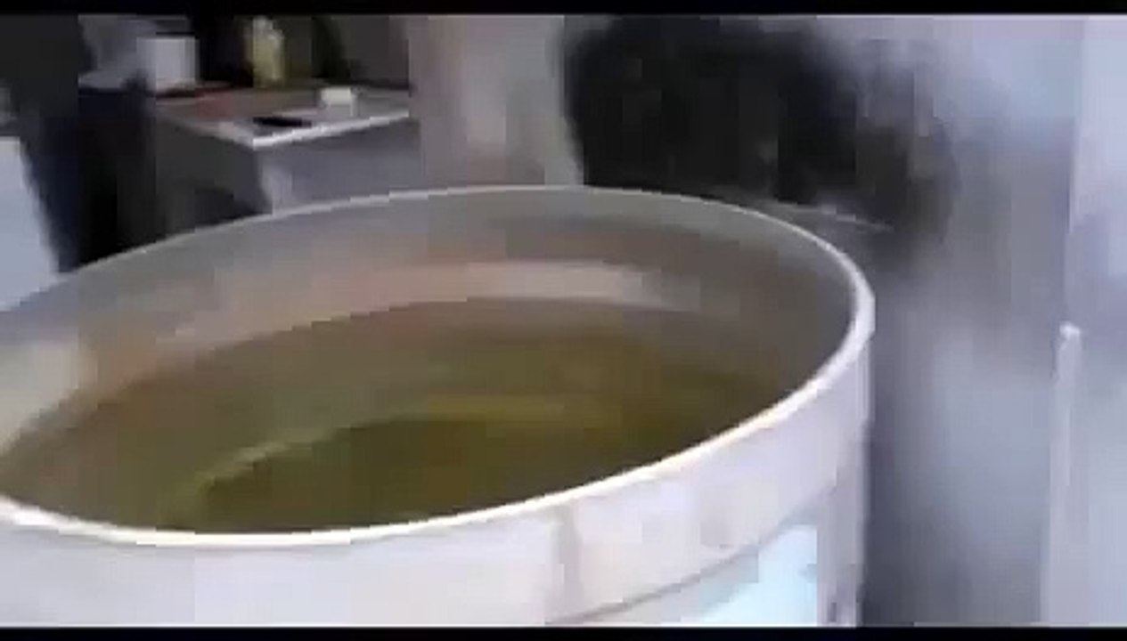 ★GATO LOCO INTENTA ESCAPAR DEL AGUA (sin exito, jaja) Los Gatos Más Divertidos - Gatos Chistosos