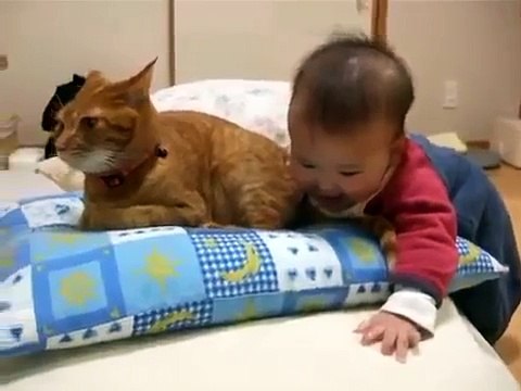 ♥ Bebe Le Quiere Comer La Cola Al Gato ♥ humor gatos - video divertido gatos chistosos risa gato