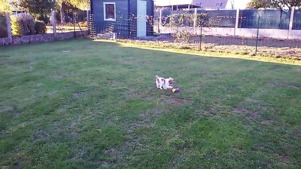 Une belle après-midi d'octobre avec loucia