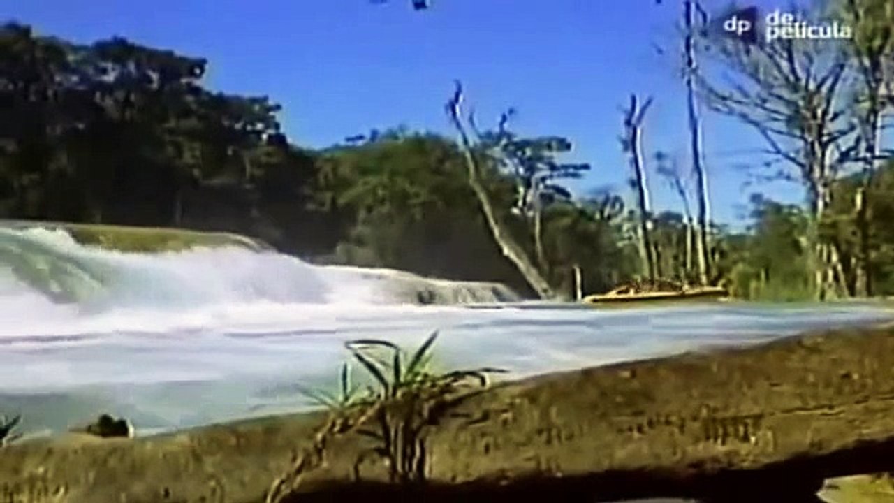 abriendo fuego   peliculas mexicanas epoca de oro