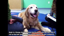 Proof That Dogs Are The Best Human Companions On The Planet