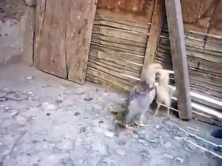 psycho funny chick flicks