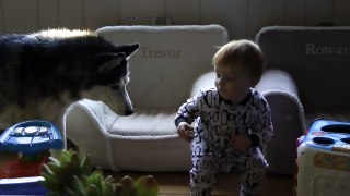 Mishka tries to steal a bagel from the baby!