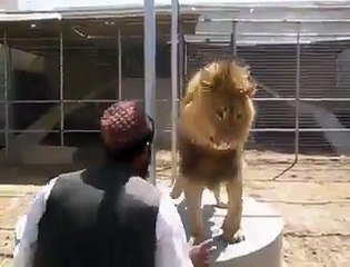 Afghani Man Giving A Hard Time To Lion