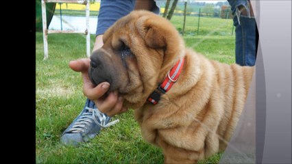 litchy du val des genets