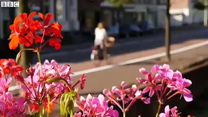 Why do so many Dutch people cycle? (BBC News)