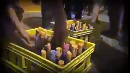 فلسطینی جوانوں کی انتہائی شاندار کاروائی