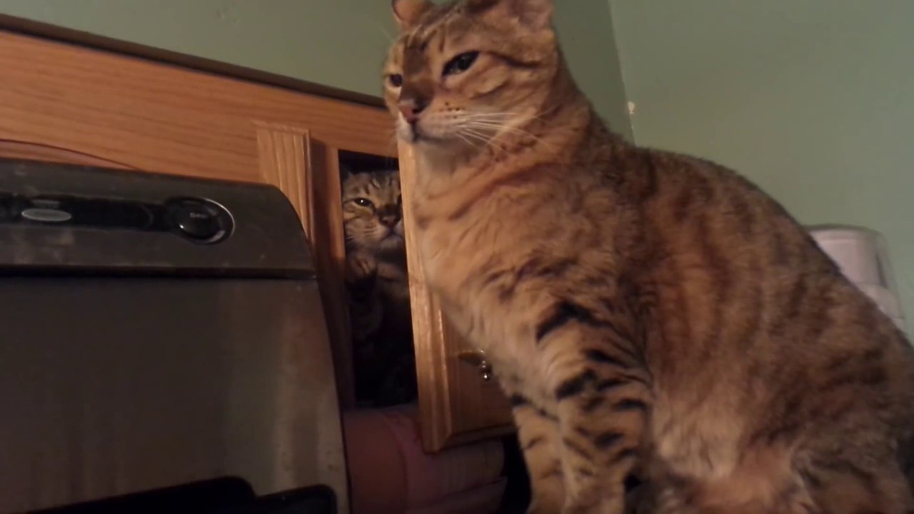 Je ne m en lasse pas