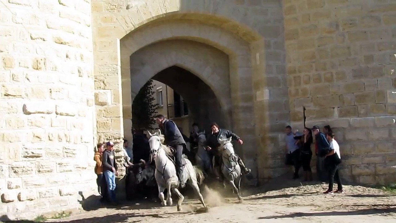 Abrivado à Aigues Mortes