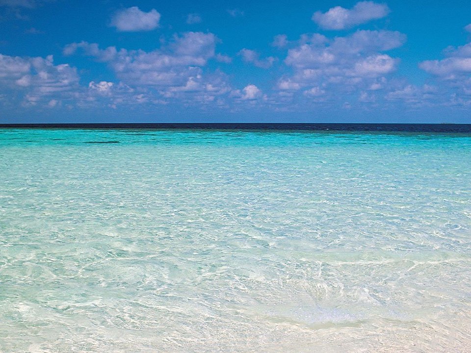 Broken Wings In Urlaub.