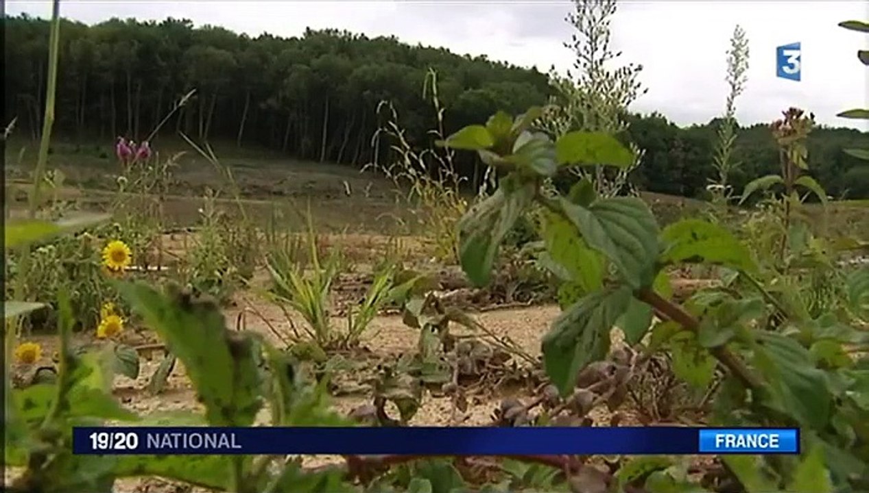 Barrage de Sivens : qu'en est-il un an après la mort de Rémi Fraisse ?