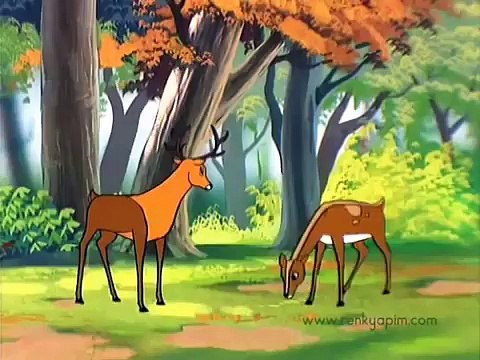 HAYVANLAR ALEMİ Yerli Çizgi Dizi