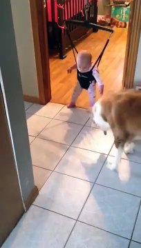 Собака учит ребёнка прыгать