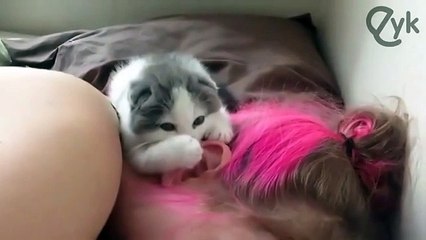 Пушистый будильник!