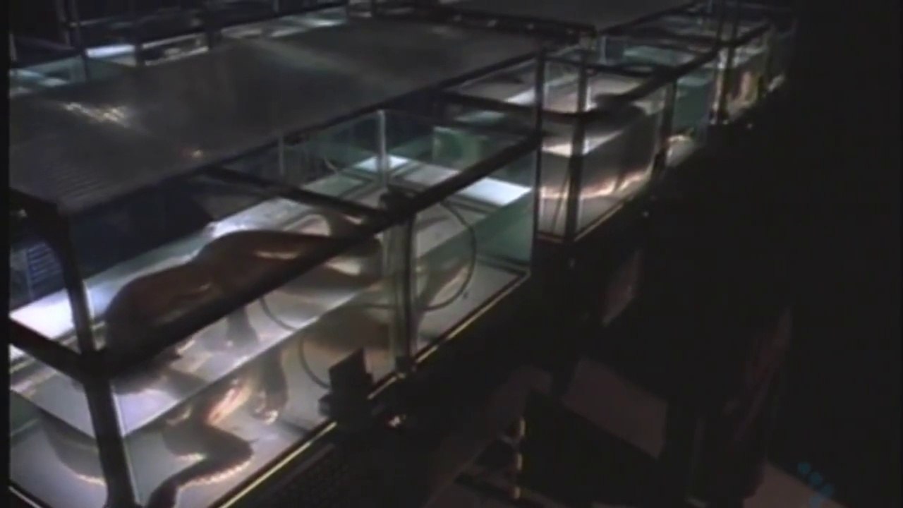 Mark Snow - The X-Files (Terrestrial Mix) 1996