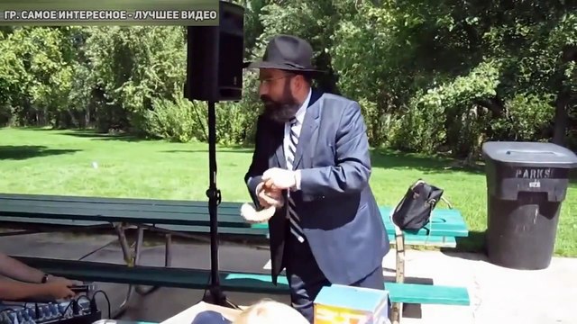 Собака обломала выступление ))