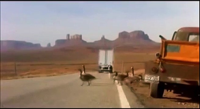 Улыбнитесь, кто смог не заржать )))