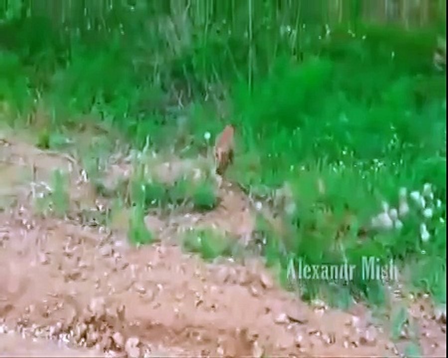 Жизнь коротка спешите делать добрые дела