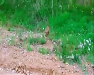 Жизнь коротка спешите делать добрые дела