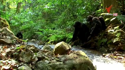 โลกธรรมชาติยุคใหม่ ตอน บ้าน 15OCT15