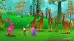 Finger Family Giraffe | ChuChu TV Animal Finger Family Nursery Rhymes Songs For Children