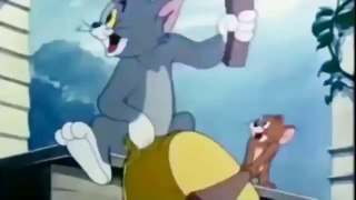 Top Best for Ever tom & Jerry cartoon