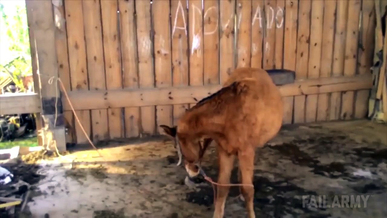 Best Fails Compilation of the Week 2 July 2015    FailArmy_10