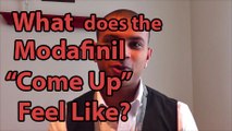 What the Modafinil Come Up Feels Like