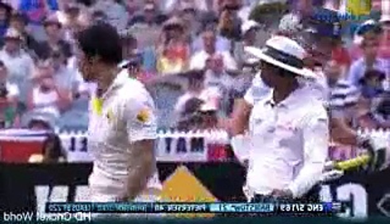 Biggest Fights in Cricket History Part 2 NEW
