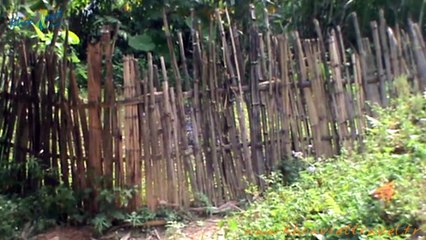 Chez l'habitant M. Thanh au village Khuoi Khon - Lolo Noir