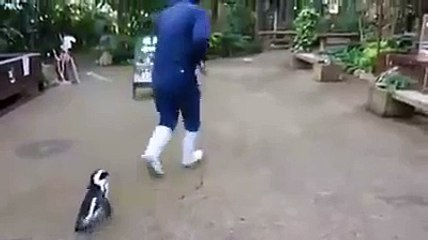 Selda Bagcan-Bu El Bize Yaramaz