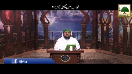Khuwab Main Machli Pakarnay Ki Tabeer - Short Bayan